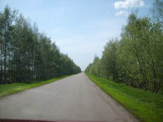 Дорога на станцию Сагуны. Чуть дальше будет поворот на Костюковку.
