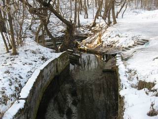 Источник у водяной мельницы. Крещение 2008 г.